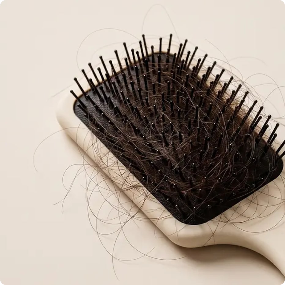 Hairbrush with shed strands — less shedding over time