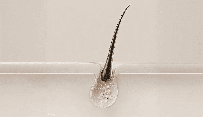 Shedding Starts At The Root